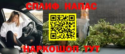 ешки Гагарин