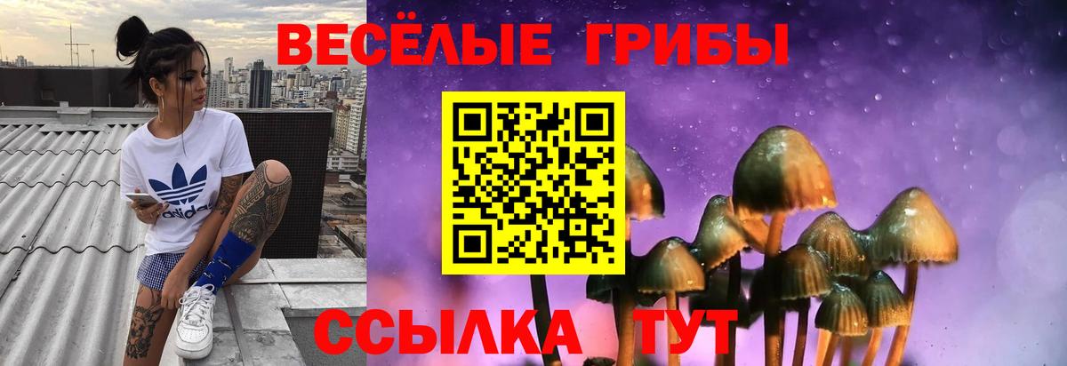 Галлюциногенные грибы прущие грибы Ковров
